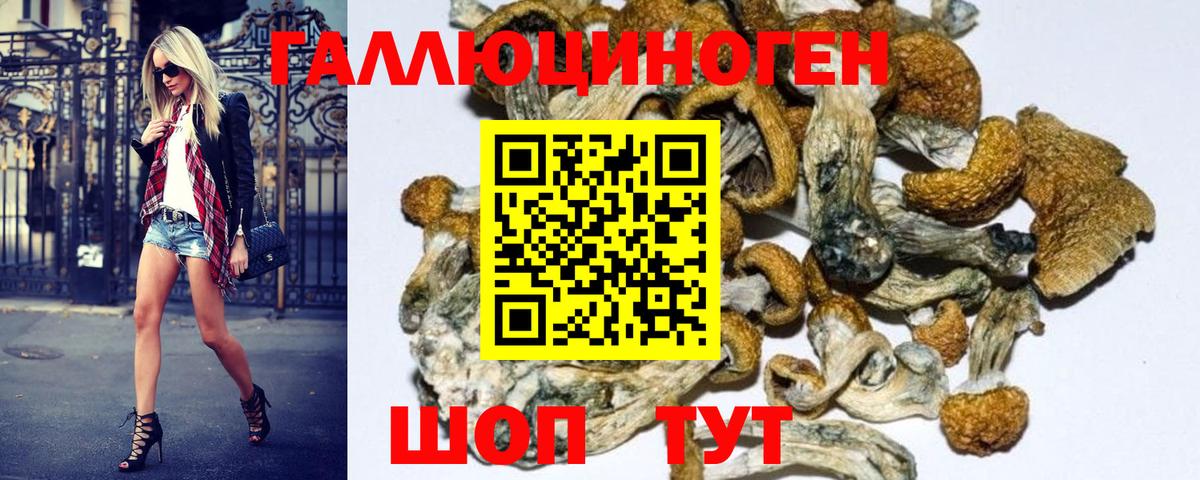 Галлюциногенные грибы мухоморы Ялуторовск