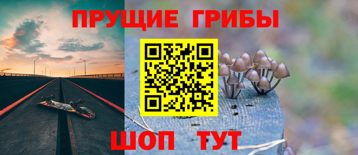 Ялуторовск  Псилоцибиновые грибы мицелий  Вход с VPN  Псилоцибиновые грибы Psilocybe 